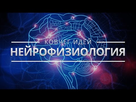 Видео: САМЫЕ ВАЖНЫЕ ИДЕИ О МОЗГЕ | КОВЧЕГ ИДЕЙ