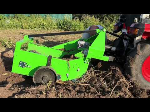Видео: Собираем урожай картошки,Кубота/Кентавр 344 с копалкой отличные помощники