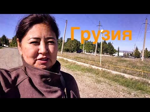 Видео: Грузияда ауылдық жерде орналастық,қыдыруға әлі уақыт жоқ