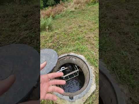 Видео: Работа биосептика внутри камер спустя год. Биозагрузка, краны и аэрлифт в деле. Продолжение.