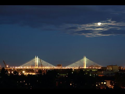 Видео: Большой Обуховский (вантовый)  мост