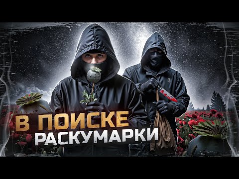 Видео: Часть 1 | Черняшка | Хмурый | В поисках раскумарки  | В деревню к маме кента | Бинты | Передозы