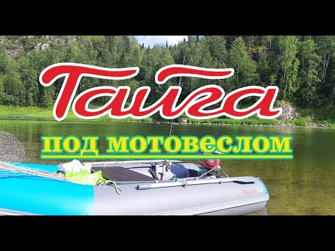 Видео: Тайга - под мотовеслом