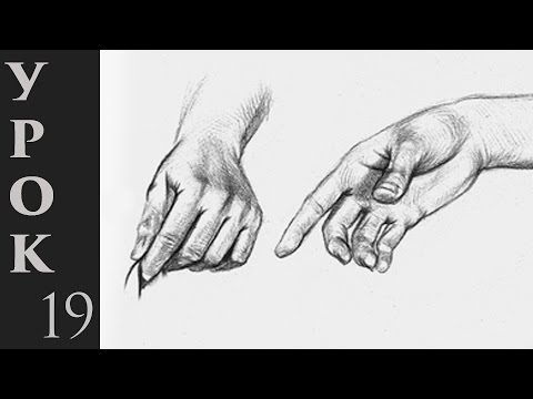 Видео: Как рисовать руки человека.