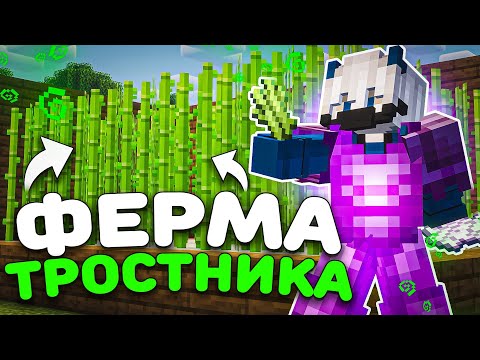 Видео: ЭТА ФЕРМА ТРОСТНИКА Помогла Мне Попасть В Топы По БАЛАНСУ - Майнкрафт Slon Server