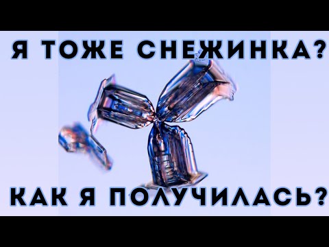 Видео: Тайна снежинок (Veritasium)