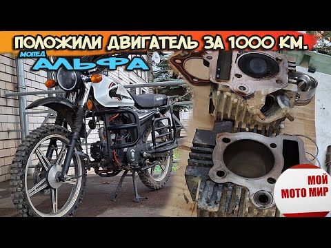 Видео: Положили двигатель за 1000 км, мопед Альфа Motoland Forester RS. Alpha RX.