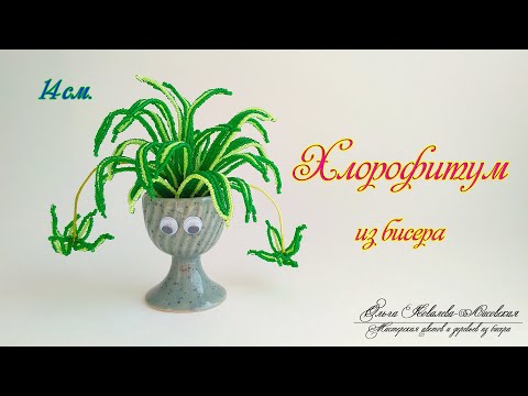 Видео: МК / ХЛОРОФИТУМ из бисера/ Мастер-класс Ольги Ковалевой-Лисовской  / Цветы из бисера/ Бисероплетение
