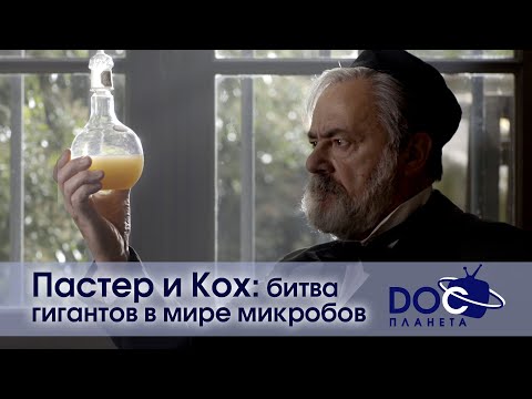 Видео: Пастер и Кох: битва гигантов в мире микробов - Документальный фильм