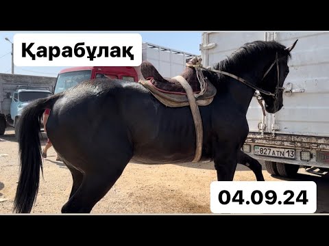 Видео: Қарабұлақ мал базары 04.09.24 Жылқы бағасы -2 бөлім