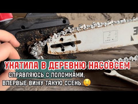 Видео: МОИ ДЕРЕВЕНСКИЕ НОВОСТИ 😍🤤 