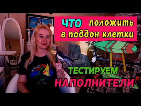 Видео: ЧТО ПОЛОЖИТЬ В ПОДДОН КЛЕТКИ | ТЕСТИРУЮ НАПОЛНИТЕЛИ ДЛЯ ПОПУГАЕВ