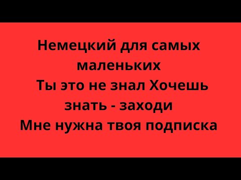 Видео: Немецкий для самых маленьких Урок 13 #немецкийя