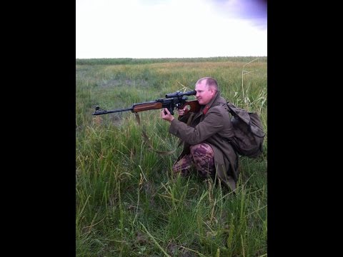 Видео: Два дня из моей охоты