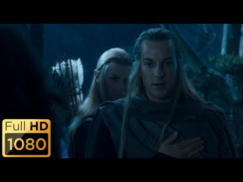 Видео: Братство задерживает патруль лесных эльфов. Властелин колец: Братство кольца.