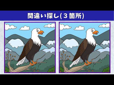Видео: Найдите 3 отличия | Иллюстрация Версия #898
