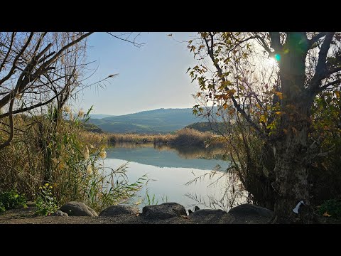 Видео: Рыбалка на прекрасном озере в Израиле #израиль #рыбалка #путешествия #рыбалкавизраиле