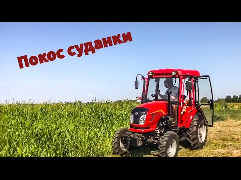 Видео: Трактор Dongfeng 404 G2 / Покос суданки.