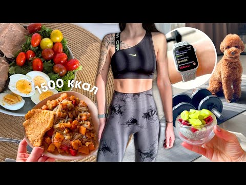 Видео: МЕНЮ В ДЕНЬ ДЛЯ ПОХУДЕНИЯ на 1500ккал Что есть в течение дня чтобы похудеть?