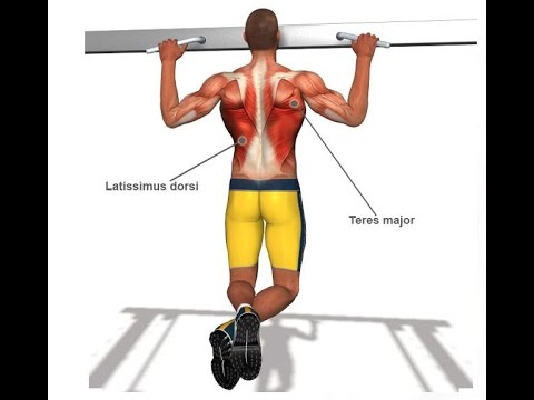 Видео: Как увеличить количество подтягиваний. Валерий Жумадилов.