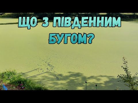 Видео: СУТИСКИ / ПІВДЕННИЙ БУГ ПОКРИТИЙ РЯСКОЮ / РИБАЛКА В РЯСЦІ