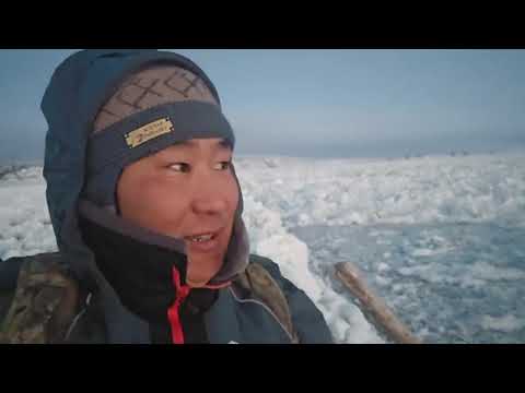 Видео: УТОПИЛИ ГРУЗ, РЕКА ТОЛЬКО ВСТАЛА. ОПАСНОСТИ КРУГОМ