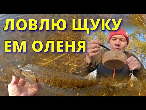 Видео: Рыбалка с берега на щуку в Финляндии. Рецепт супа из оленины #рыбалка #рецепты