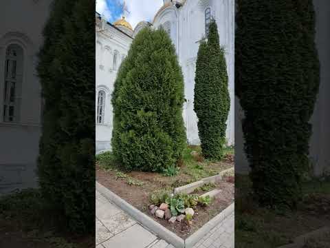 Видео: Успенский собор.(город Владимир. ) 