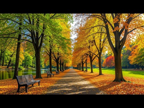 Видео: Красивая расслабляющая музыка и осенний пейзаж 🍂 Музыка для исцеления и снятия стресса