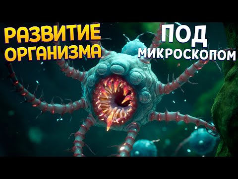 Видео: РАЗВИТИЕ ОРГАНИЗМА ПОД МИКРОСКОПОМ ( Sipho )