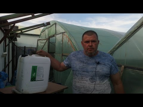 Видео: ЧТО ТАКОЕ ДРОБНЫЙ ПОЛИВ /КАК ПРАВИЛЬНО ВНОСИТЬ ОРГАНИЧЕСКИЕ УДОБРЕНИЯ