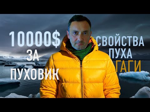 Видео: ПУХОВИК за $10000. НЕДОСТУПНАЯ РОСКОШЬ. ЧАСТЬ 2. Чудо инженерного мастерства природы - ПУХ!