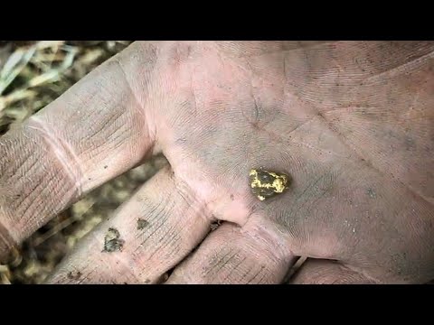 Видео: Видео от подписчика. Приборное золото Minelab GPZ 7000.  Катушка X-Coils 15" в деле