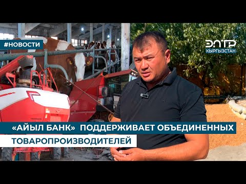 Видео: «АЙЫЛ БАНК»  ПОДДЕРЖИВАЕТ ОБЪЕДИНЕННЫХ ТОВАРОПРОИЗВОДИТЕЛЕЙ
