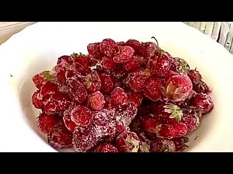 Видео: Вкусный Зимний компот из замороженных ягод. Без варки!