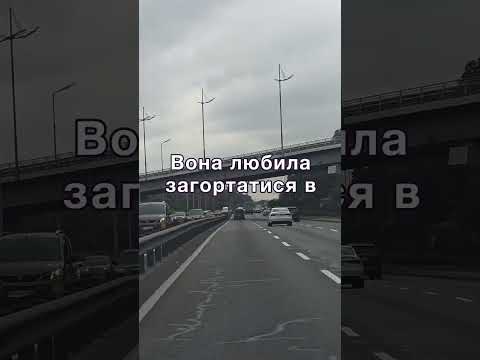Видео: Дорога полуниця