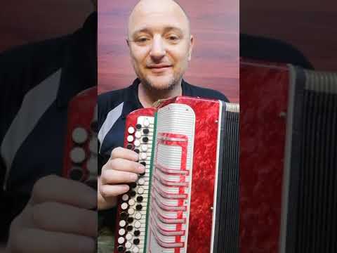 Видео: Баян, гармонь!? В чём разница!? В чём сходство!?