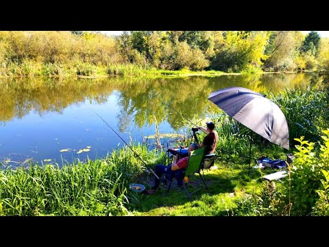 Видео: На календарі осінь, а кльов риби, як у літку. Рибалка на Горині.