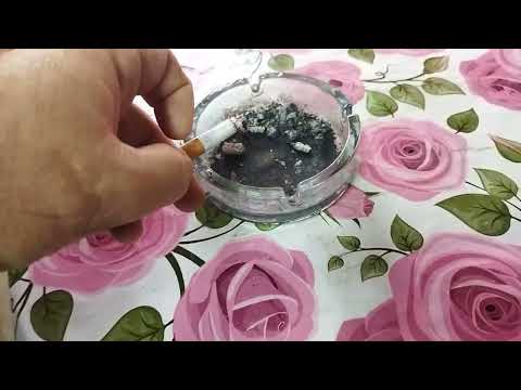 Видео: Табак и семена от Николаевича.  Дачный Колорит. СВ 13, Гавана 608, Куманово.