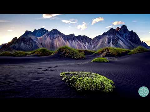 Видео: 🍀Экхарт Толле~На что опираться,чтобы сделать выбор!