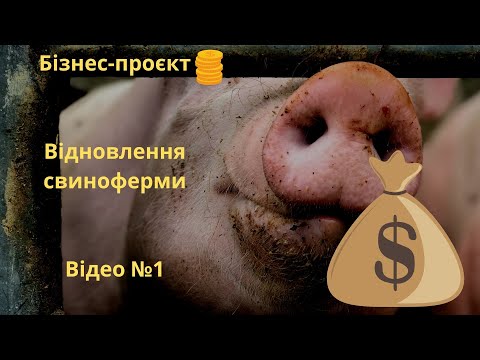 Видео: Свині як бізнес-проєкт. Придбання комплексу та його відновлення. Відео №1