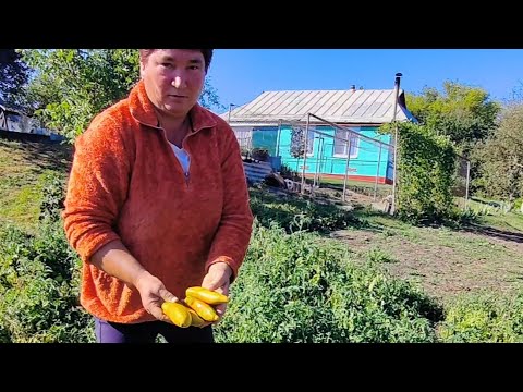 Видео: Что растет у Тани в огороде ? Обзор🌻хорошая у Тани невестка!