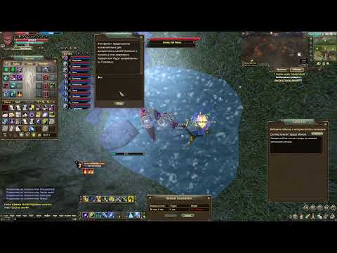 Видео: ДРУИД И 9 ПИТОМЦЕВ Открытие день 5 Comeback PW 146 Х