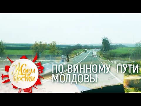 Видео: Молдова: винный путь | ЖДЁМ В ГОСТИ
