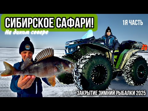 Видео: СИБИРСКОЕ САФАРИ! ЗАКРЫТИЕ СЕЗОНА ЗИМНЕЙ РЫБАЛКИ 2025! 3 ДНЯ НА ТАЁЖНЫХ ОЗЁРАХ ГДЕ ЛЮТУЮТ ОКУНИ! 1ч.