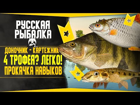 Видео: Путь доночника-картежника! в РР4 #8 💥 4 трофея? Легко!| Заработок Серебра! |Русская Рыбалка 4