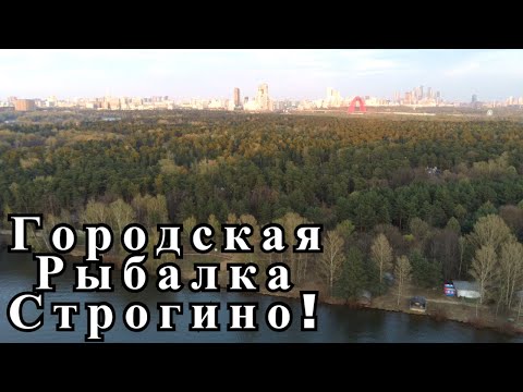 Видео: ВМР СТРОГИНО! Весенний Фидер