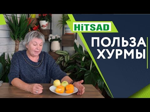 Видео: Польза Хурмы ✔️ Почему вяжет хурма ✔️