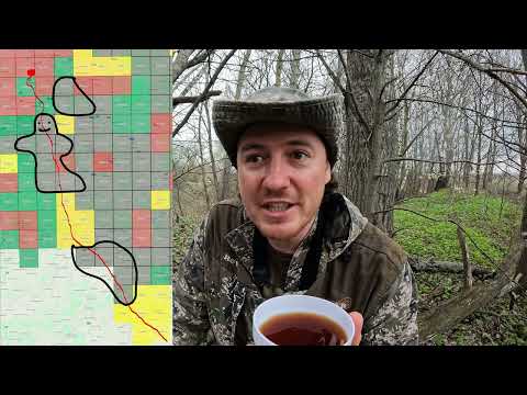 Видео: Атлас птиц Московской области