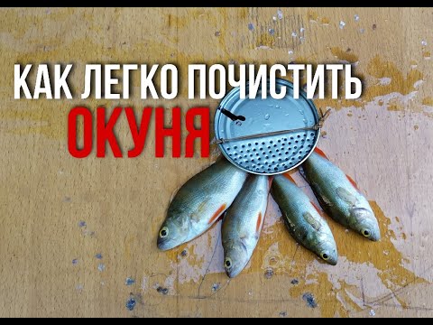 Видео: КАК ЛЕГКО ПОЧИСТИТЬ ОКУНЯ!